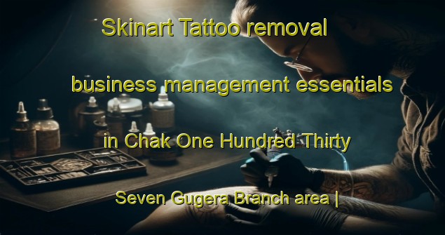 Skinart Tattoo removal business management essentials in Chak One Hundred Thirty Seven Gugera Branch area | RemovalTraining | RemovalClasses | SkinartTraining-Pakistan